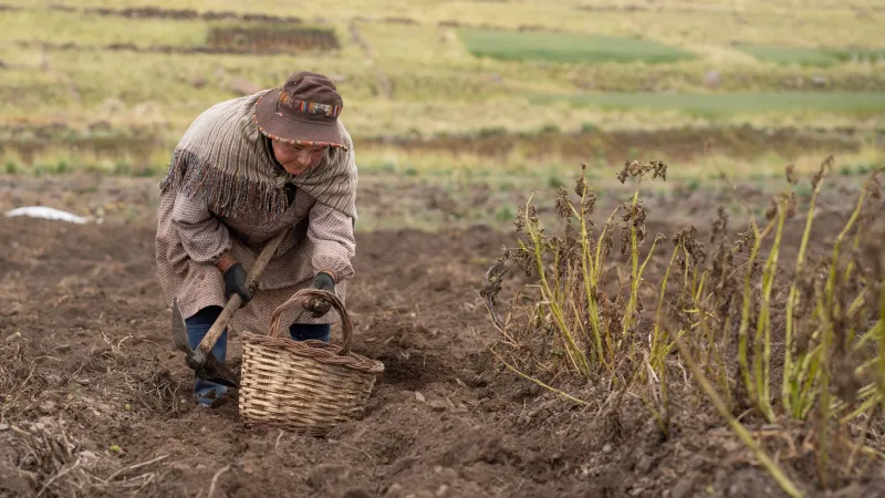 Investigar con y desde la comunidad: metodologías participativas que reconfiguran la producción del saber en Bolivia